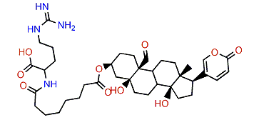 3-(N-Suberoyl argininyl)-hellebrigenin